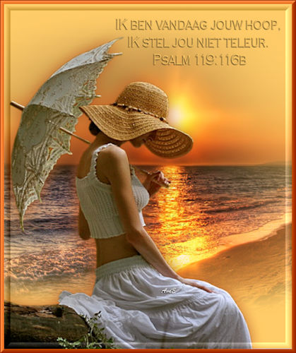 550 pix hoog.jpg